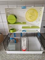 Hamster kooi, Dieren en Toebehoren, Kooi, Gebruikt, Minder dan 75 cm, Ophalen
