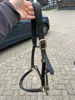 Leren halster full, Dieren en Toebehoren, Ophalen, Zo goed als nieuw, Overige soorten