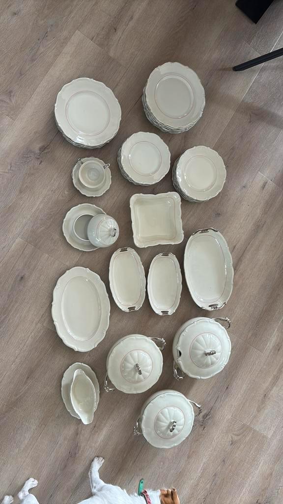 Prachtig C.T. Tielsch-altwasser germany servies, Antiek en Kunst, Antiek | Servies compleet, Ophalen of Verzenden