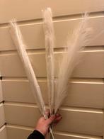 6x Kunst Pampas Gras Wit - 60 cm, Huis en Inrichting, Ophalen, Zo goed als nieuw