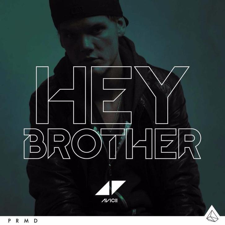 Avicii - Hey Brother (NIEUW), Cd's en Dvd's, Cd Singles, Nieuw in verpakking, Ophalen of Verzenden