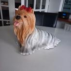 Fifi, Januari, Meerdere dieren