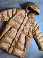 Mooie Peuterey winterjas in mosterdgele kleur. Maat L, Maat 52/54 (L), Overige kleuren, Ophalen of Verzenden, Zo goed als nieuw