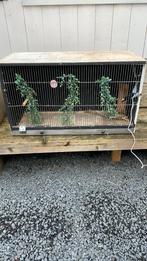 Broedhok compleet met verlichting, Dieren en Toebehoren, Ophalen of Verzenden, Zo goed als nieuw, Broedkooi of Kweekkooi