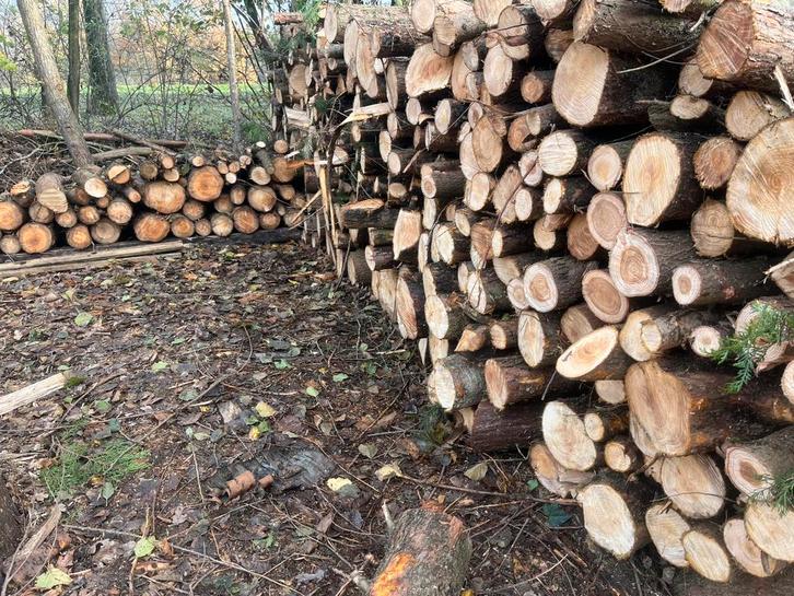 Meterstammen cypreshout voor in de tuin of haard, Tuin en Terras, Haardhout, Stammen, Ophalen