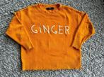 GINGER statement trui van ZARA knit maat S, Kleding | Dames, Verzenden, Zara, Oranje, Maat 36 (S)