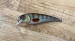 Westin rawbite 17cm 100gram, Watersport en Boten, Ophalen of Verzenden, Zo goed als nieuw, Overige typen