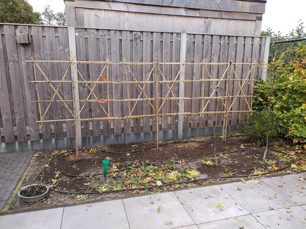 Lei duurzaam gekweekte fruitbomen voor fruit uit eigen tuin, Ophalen of Verzenden, Appelboom, Lente