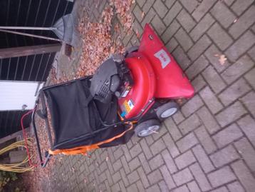 Bladzuiger  beschikbaar voor biedingen