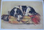 honden illustratie van Lucy Dawson - Mac - old faithful, Verzenden, 1980 tot heden, Ongelopen, Hond of Kat