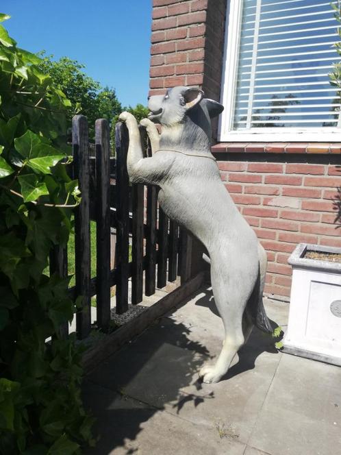 prachtig beeld van een cattle dog, ware grootte, Tuin en Terras, Tuinbeelden, Nieuw, Dierenbeeld, Kunststof, Ophalen