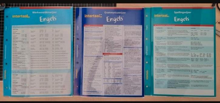 Intertaal hulpkaarten, Diversen, Schoolbenodigdheden, Nieuw, Ophalen of Verzenden