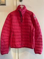 Parajumpers gewatteerde jas maat y m. 12 jaar, Meisje, Ophalen of Verzenden, Zo goed als nieuw, Parajumpers