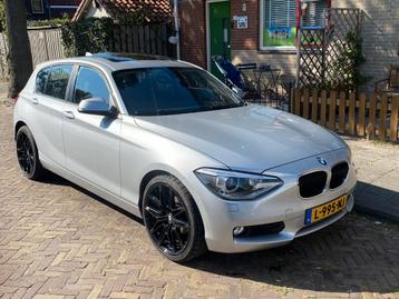 BMW 1-Serie (f20) 116I 100KW 5DR 2011 Grijs