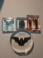 Opgezette dieren in hars schildpad Kreeft Vlinder Vleermuis, Ophalen of Verzenden, Opgezet dier