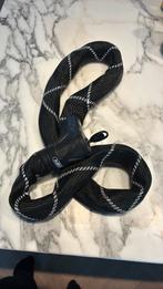 ABUS kettingslot, Ophalen of Verzenden, Zo goed als nieuw, Kettingslot