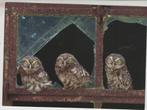 Drie Uilen © Rob Reijnen Kaart is 18 x 13 cm Ongelopen, Verzenden, 1980 tot heden, Ongelopen, Overige thema's