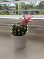 Kunstplant cactus klein, Ophalen of Verzenden, Zo goed als nieuw, Binnen
