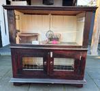 Cavia/ konijnen hok, Ophalen, 90 cm of meer, Hok, Cavia