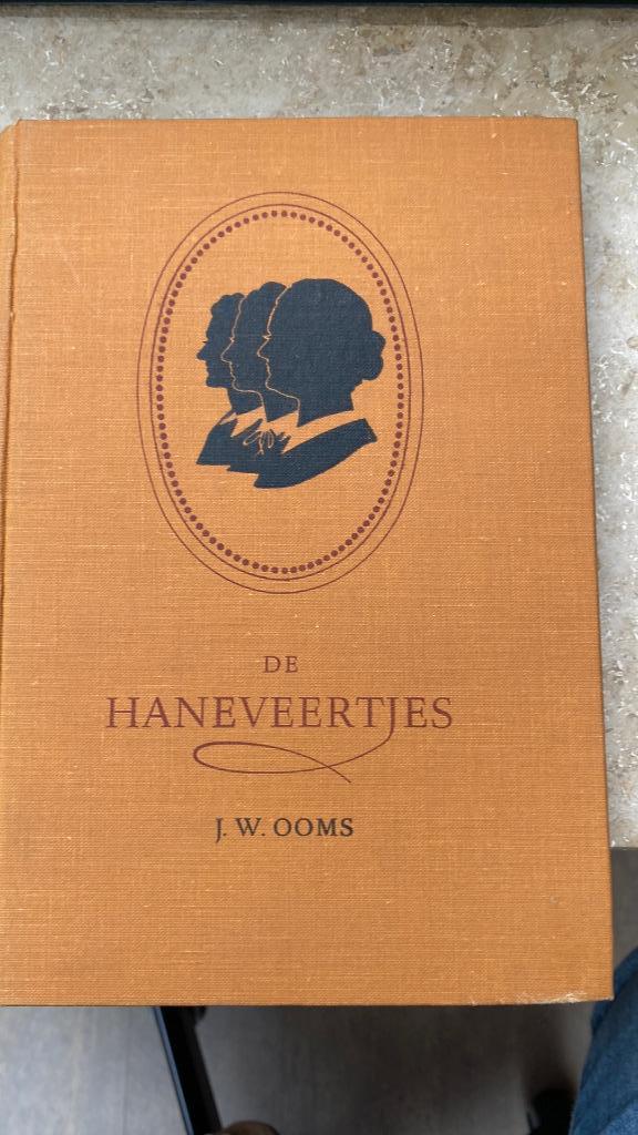 de Haneveertjes, Boeken, Romans, Zo goed als nieuw, Ophalen of Verzenden