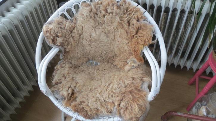 set wol, handgevilt 2 tuinstoel vachtjes van Ouessant schaap, Huis en Inrichting, Woonaccessoires | Plaids en Woondekens, Nieuw