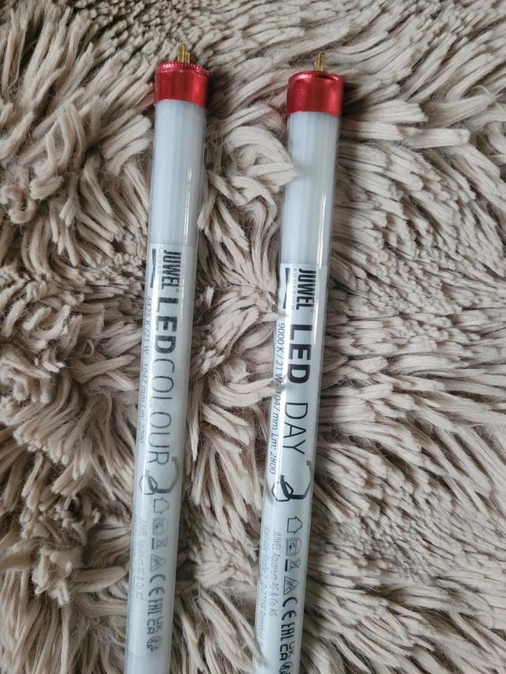 Color en day van Juwel, Dieren en Toebehoren, Vissen | Aquaria en Toebehoren, Verlichting of Verwarming, Ophalen