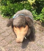 mooi heel groot everzwijn van Steiff genaamd Dalle., Antiek en Kunst, Ophalen of Verzenden