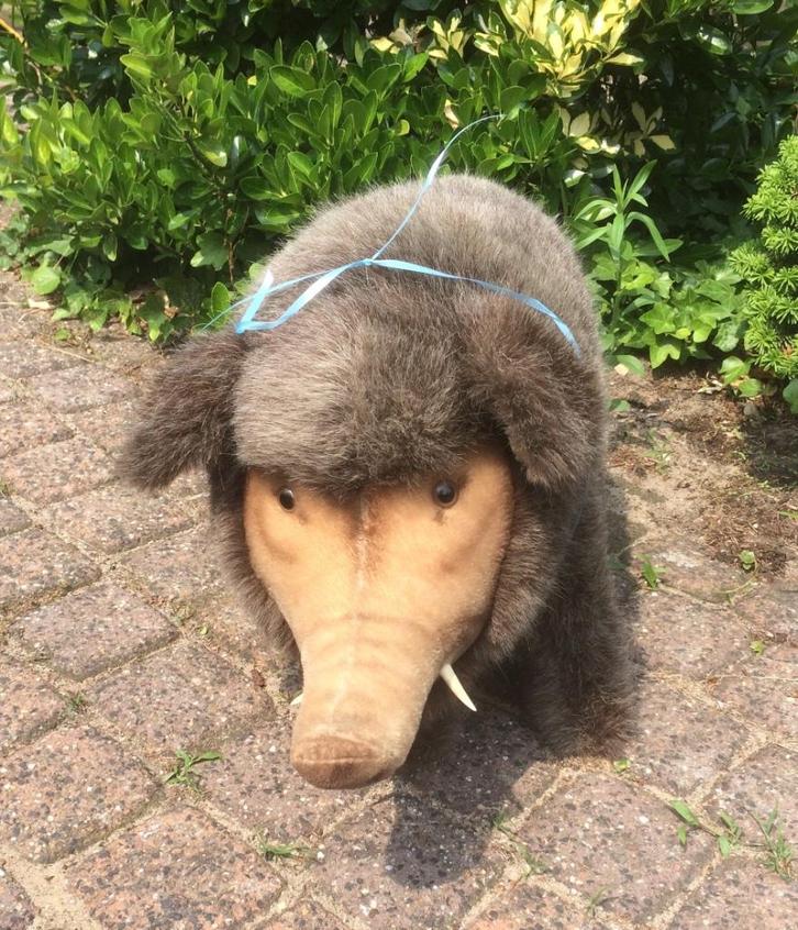 mooi heel groot everzwijn van Steiff genaamd Dalle., Antiek en Kunst, Antiek | Speelgoed, Ophalen of Verzenden