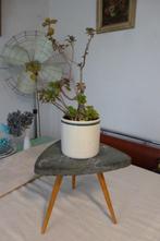 PLANTENTAFELTJE,FIFTIES,SIXTIES,ROCKABILLY,VINTAGE,MID-CENTU, Ophalen of Verzenden, Gebruikt