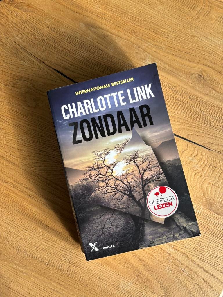 Charlotte Link - Zondaar, Boeken, Thrillers, Ophalen of Verzenden, Zo goed als nieuw, Charlotte Link