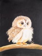 Tekening van een schattige uil in lijst, Ophalen of Verzenden