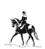 Dressuurruiter zoekt leuk (wedstrijd) paard, Diensten en Vakmensen, Dieren | Paarden | Verzorging, Oppas en Les