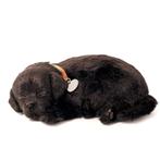 Perfect Petzzz labrador zwart ademt 'echt', Info@hopsa.nl, Industrieweg 12, 2254 AE Voorschoten, Nieuw, PlentyGifts