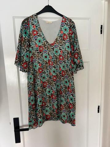 Holly & joey jurk beschikbaar voor biedingen