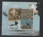 B858 Tonga Blok 31 postfris Vogels, Dier of Natuur, Verzenden, Postfris