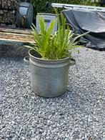 Zinken pot / teil, Gebruikt, Ophalen of Verzenden, Metaal, 30 tot 60 cm