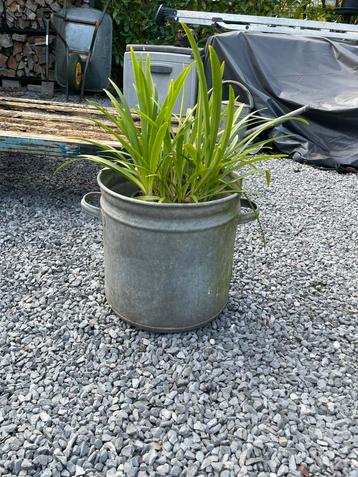 Zinken pot / teil beschikbaar voor biedingen