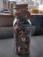 Schelpen in glazen pot, Huis en Inrichting, Ophalen of Verzenden, Overige kleuren, Glas, Minder dan 50 cm