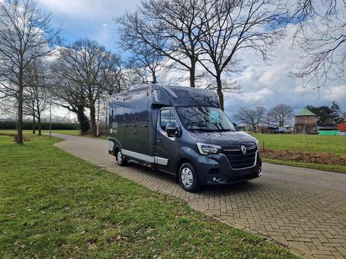 Renault Master Theault automaat paardenwagen hengsten uitvoe, Dieren en Toebehoren, Paarden en Pony's | Trailers en Aanhangwagens