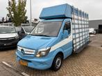 Mercedes-Benz Sprinter 313 cdi glasresteel (bj 2014), Auto's, Bestelauto's, 13 km/l, Euro 5, Gebruikt, Bedrijf