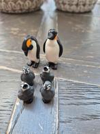 Playmobil 6649 Pinguïnfamilie, Ophalen of Verzenden, Zo goed als nieuw