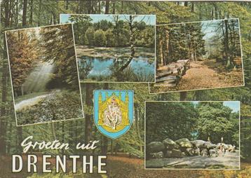 DRENTHE Bos Meertje Hunebed Groeten  beschikbaar voor biedingen