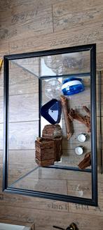 Hamsterkooi glas, Dieren en Toebehoren, Knaagdieren en Konijnen | Hokken en Kooien, Ophalen