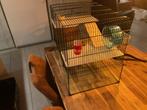 mooie grote hamsterkooi, met glazen onderbak., Kooi, Minder dan 75 cm, Zo goed als nieuw, Hamster