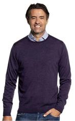 Joe Merino - trui - L - kleur 'purple lord' - goede staat, Kleding | Heren, Maat 52/54 (L), Joe Merino, Paars, Ophalen of Verzenden