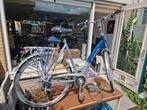 Batavus Pandova Easy damesfiets., Fietsen en Brommers, Elektrische fietsen, Ophalen, Gebruikt, Batavus, 59 cm of meer