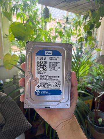 Harde Schijf 1 TB - WD Blue 1TB WD10EZEX beschikbaar voor biedingen