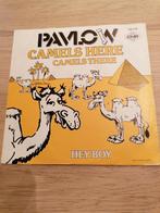 Pavlow/camels here camels there, Ophalen of Verzenden, Gebruikt, Pop