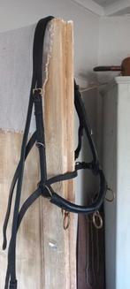 Kaptoom: zwart leer, messing ringen en gespen,, Ophalen of Verzenden, Gebruikt, Overige soorten