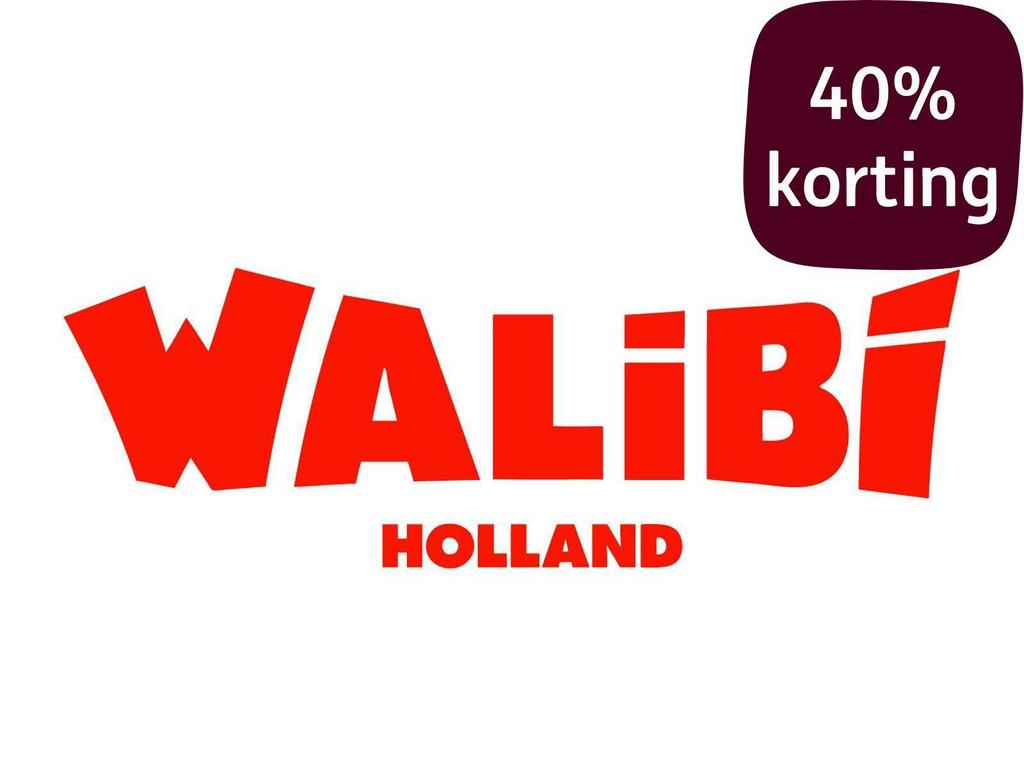 6 Korting Vouchers Walibi Holland., Eén persoon, Kortingskaart